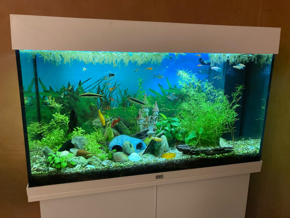 Akvarium, 120 liter, b: 80 d: 36 h: 52