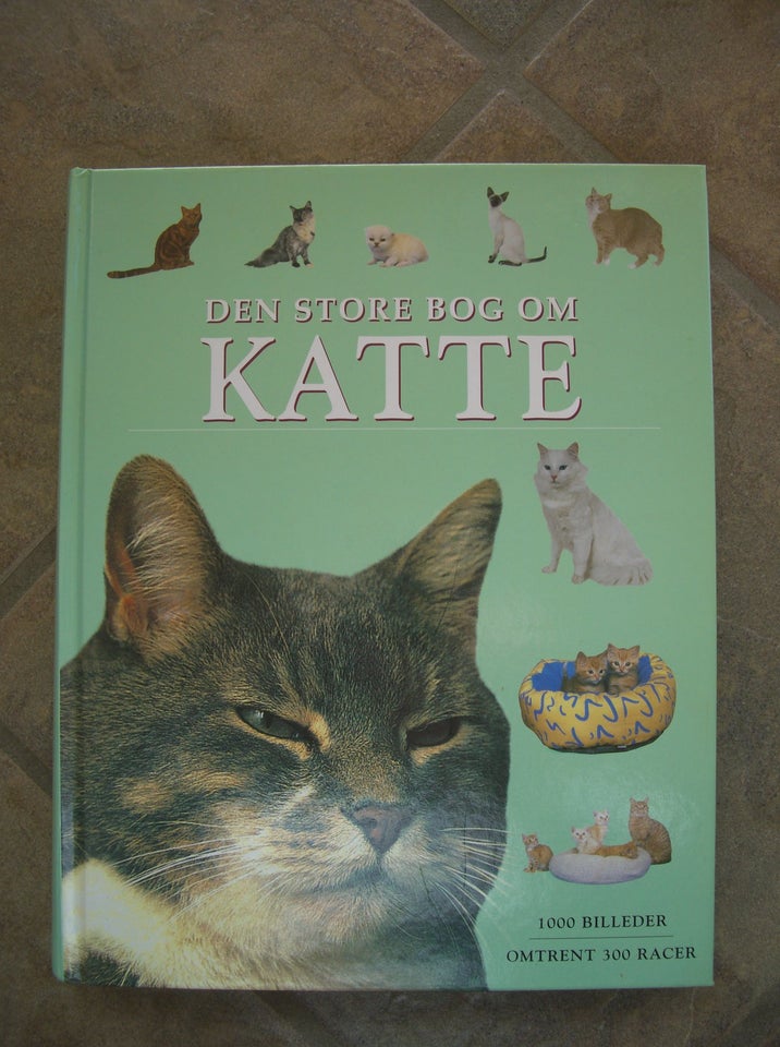 Alt om katte m.fl., emne: dyr