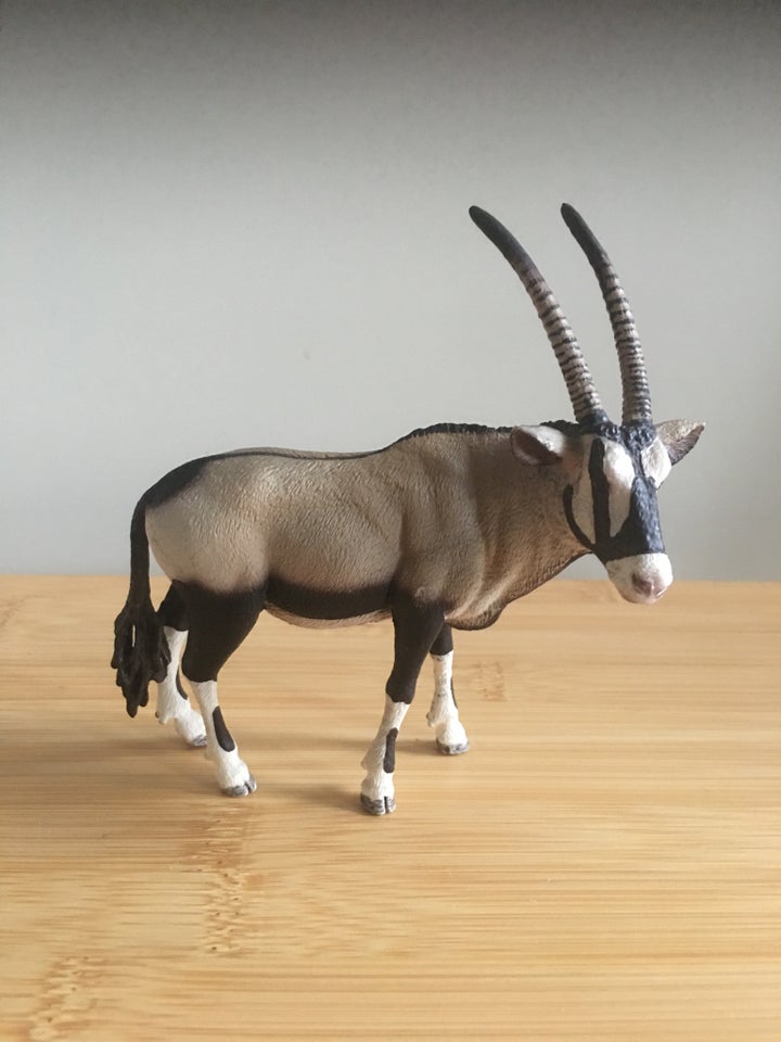 Dyr, Gemsbok/Oryx Antilope,