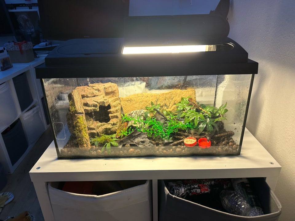 Akvarium, 54 liter, b: 60 d: 30 h: 30