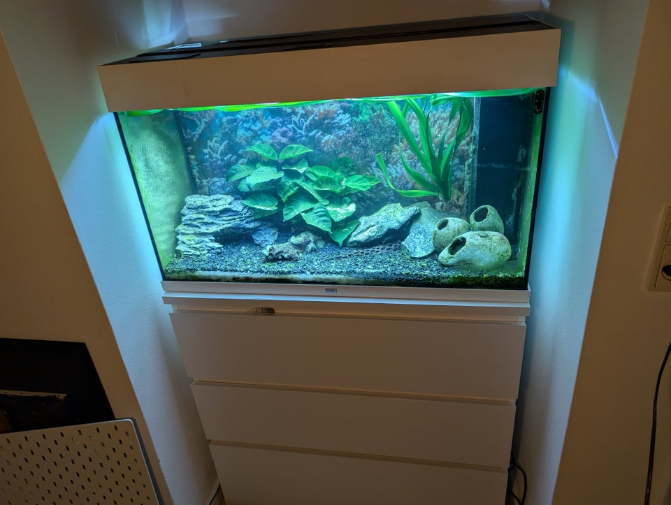 Akvarium, 140 liter, b: 80 d: 35 h: 50