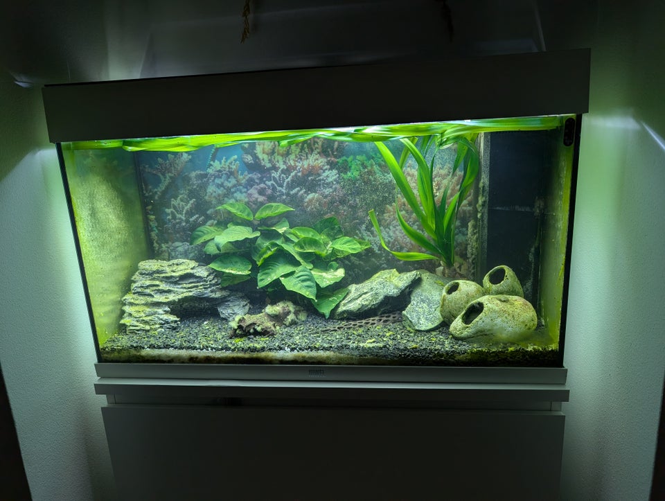 Akvarium, 140 liter, b: 80 d: 35 h: 50