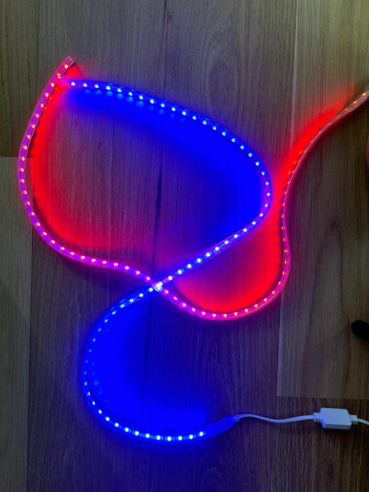 LED