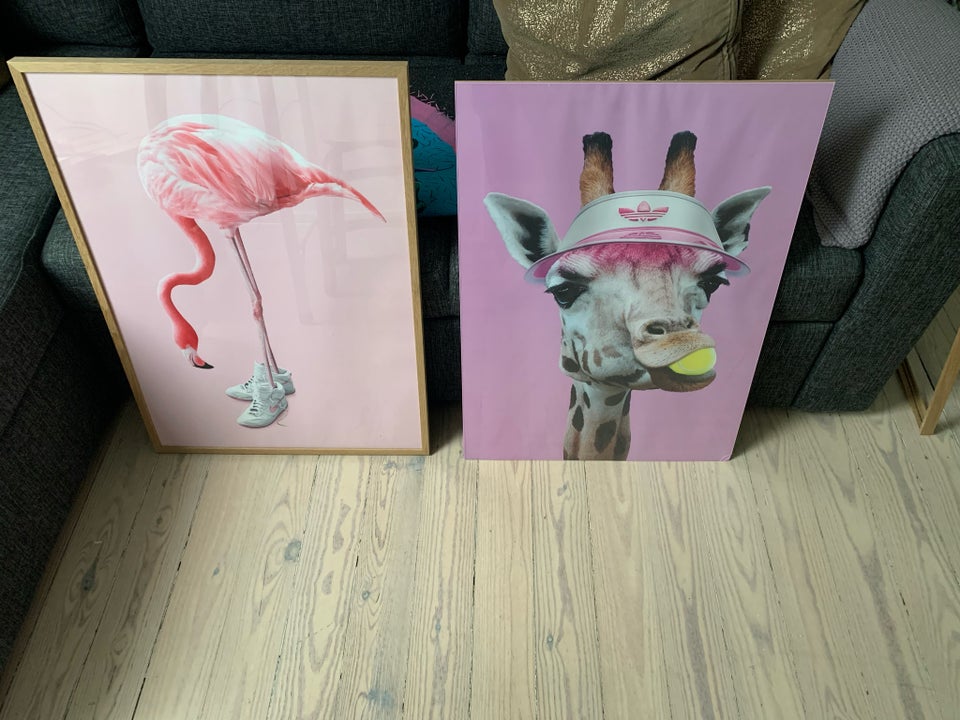 Plakat , motiv: Giraf og flamingo,