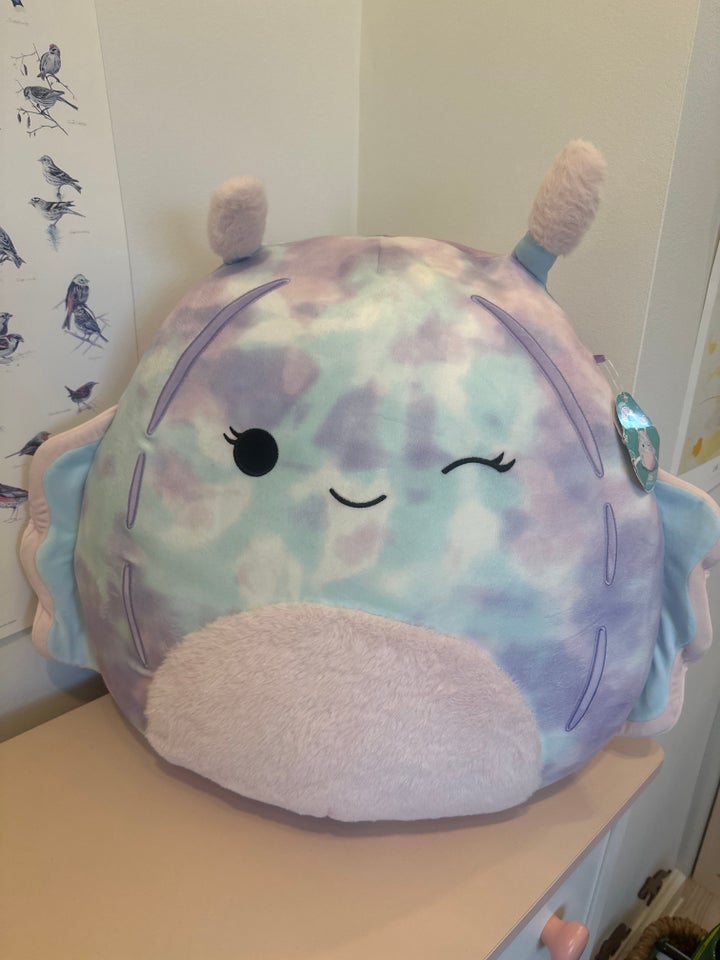 Bamse , Squishmallows