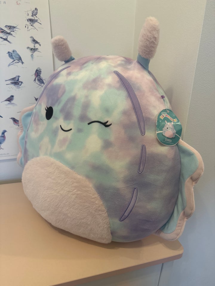 Bamse , Squishmallows