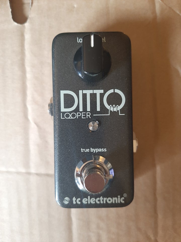 Ditto Looper, TC Electronic Ditto