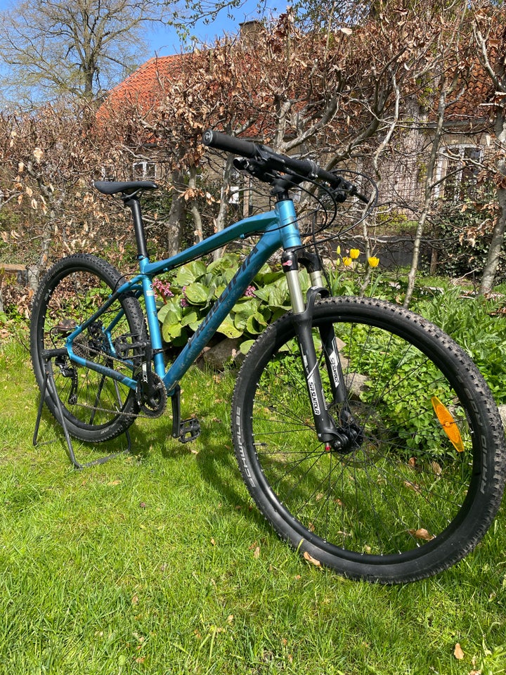 Principia Evoke a7.9, hardtail, 29