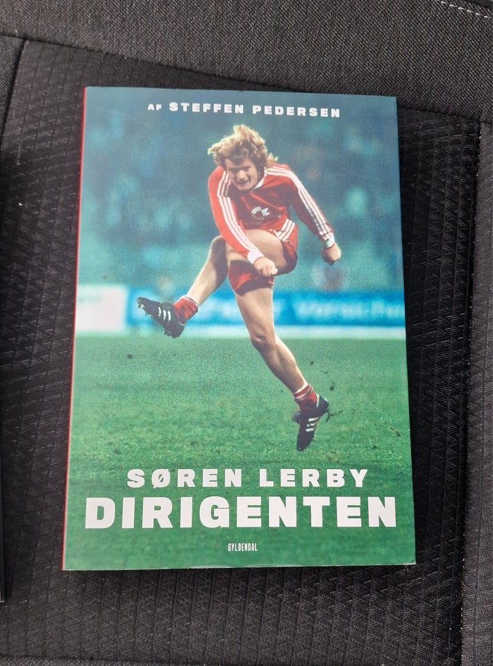 Dirigenten, Steffen Pedersen