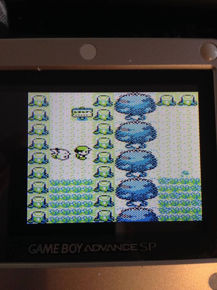 Pokemon Yellow Pokemon Silver