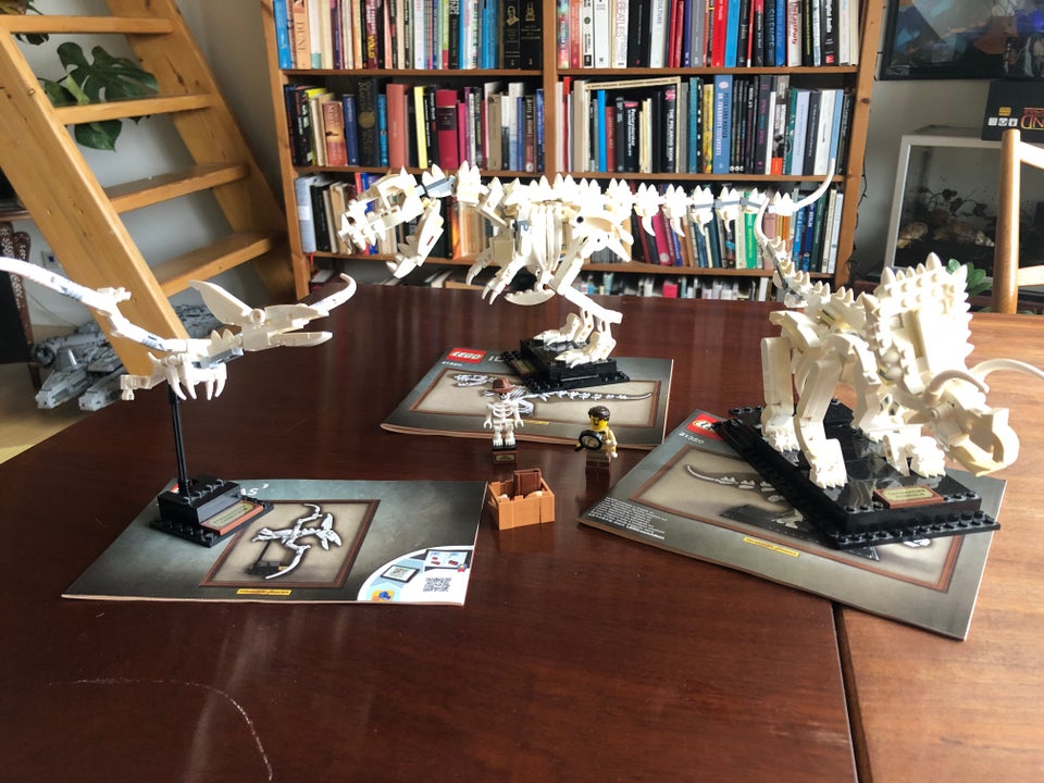 Lego Ideas, 21320 Dinosaur Fossils