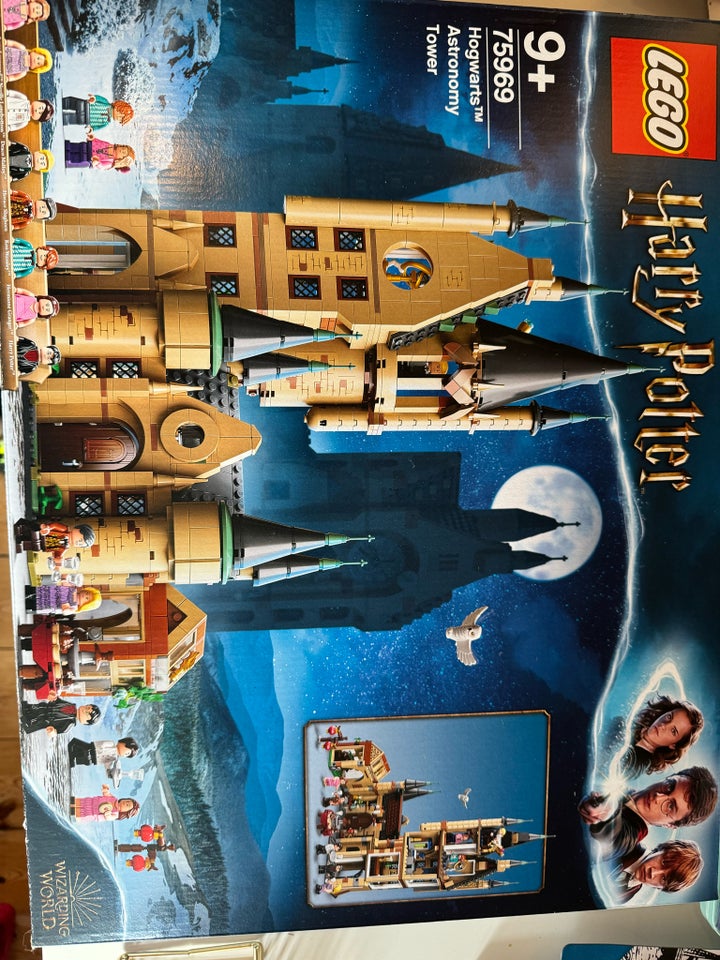 Lego Harry Potter, Lego 75969 Harry