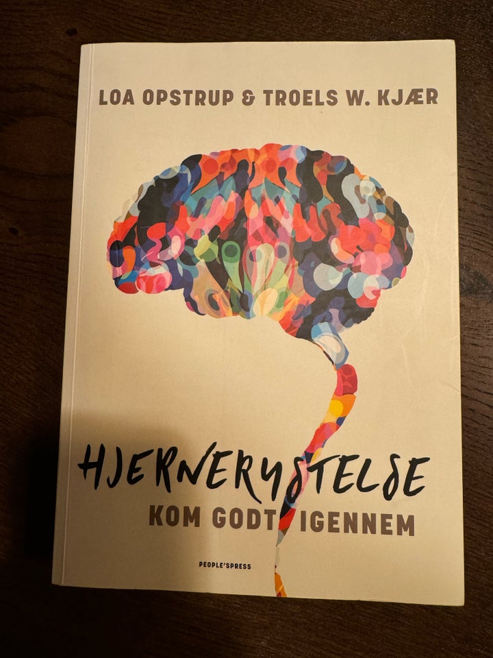 Hjernerystelse kom godt igennem,