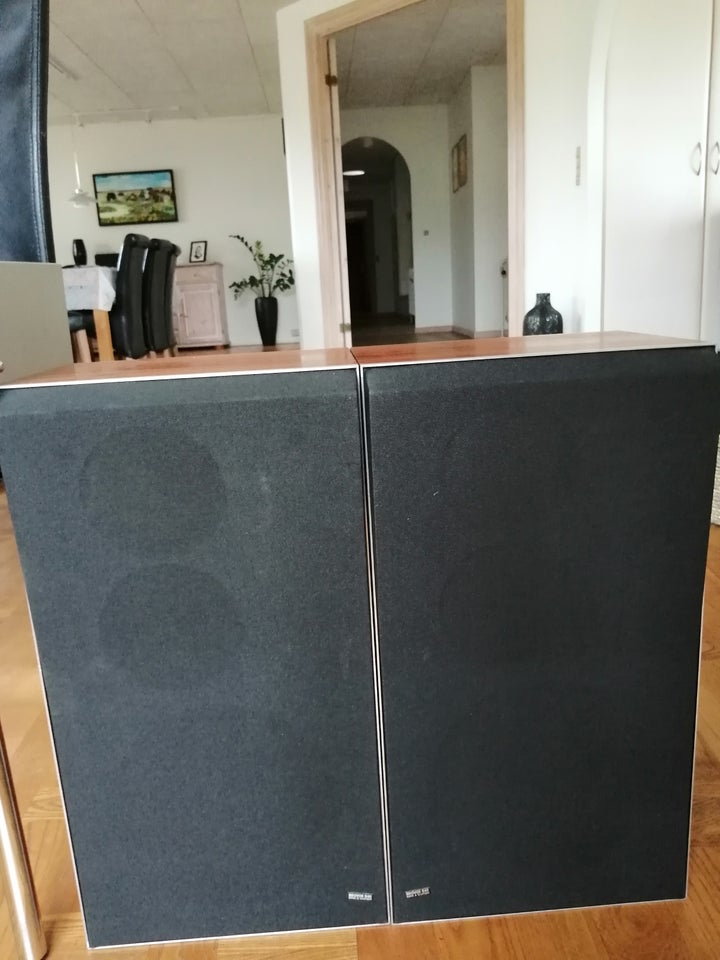 Højttaler, Bang  Olufsen, Beovox S