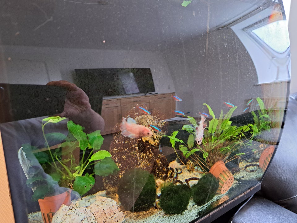 Fluval 1 stk