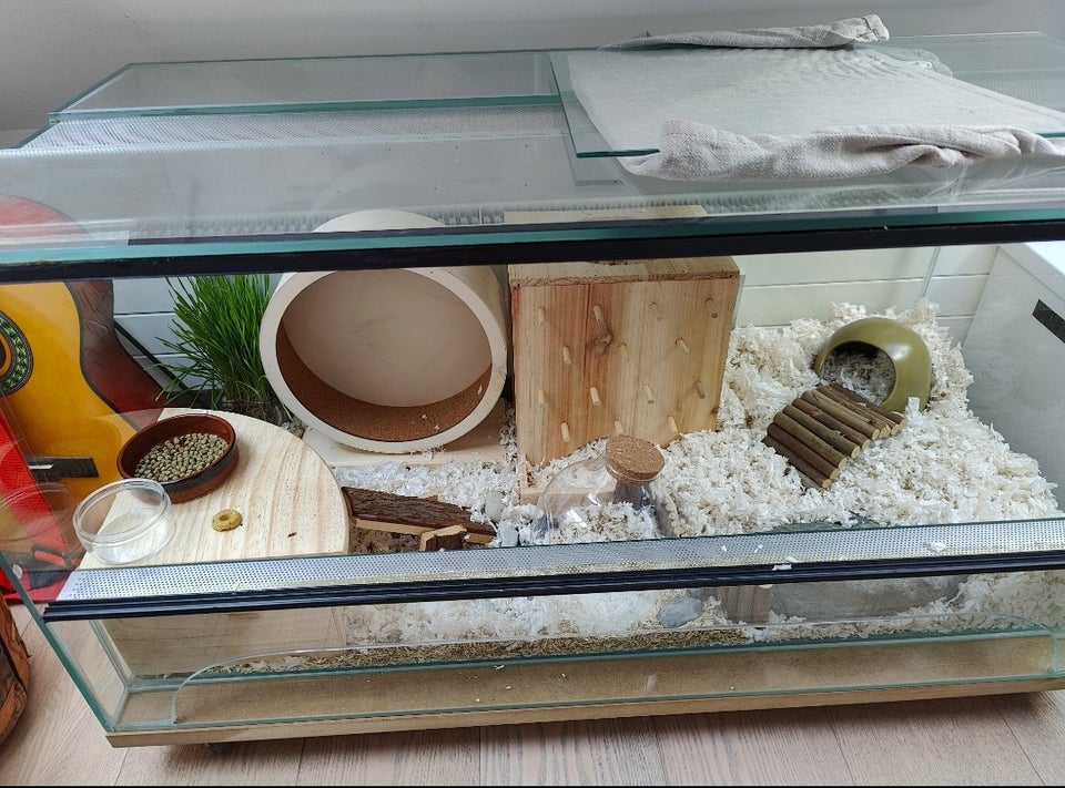 Terrarium, b: 100 d: 50 h: 50