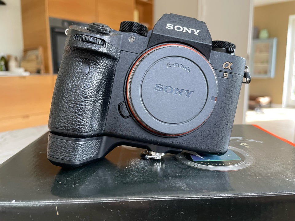 Sony, A9, 24 megapixels