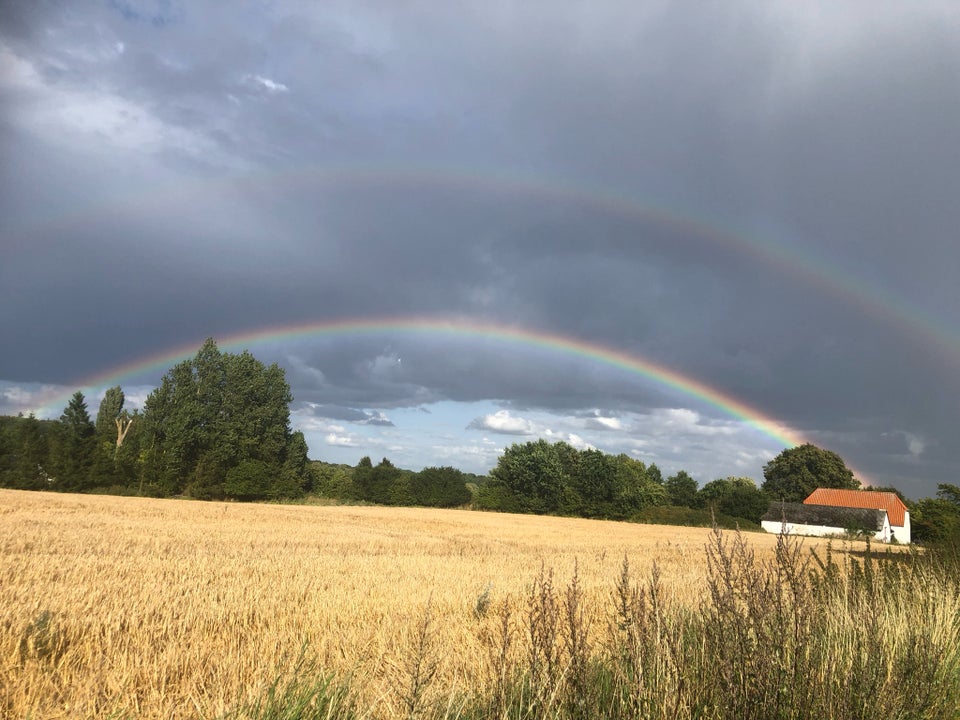 Andet, Egen løsdrift