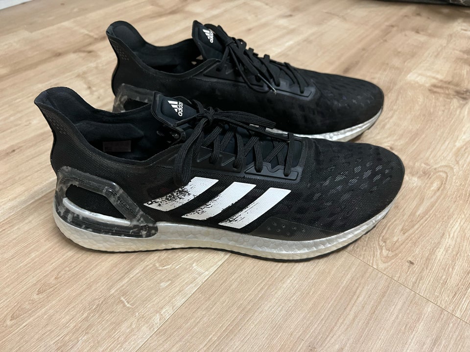 Sportssko, Adidas, str. 46