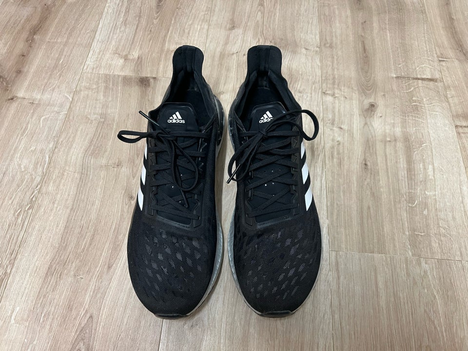 Sportssko, Adidas, str. 46