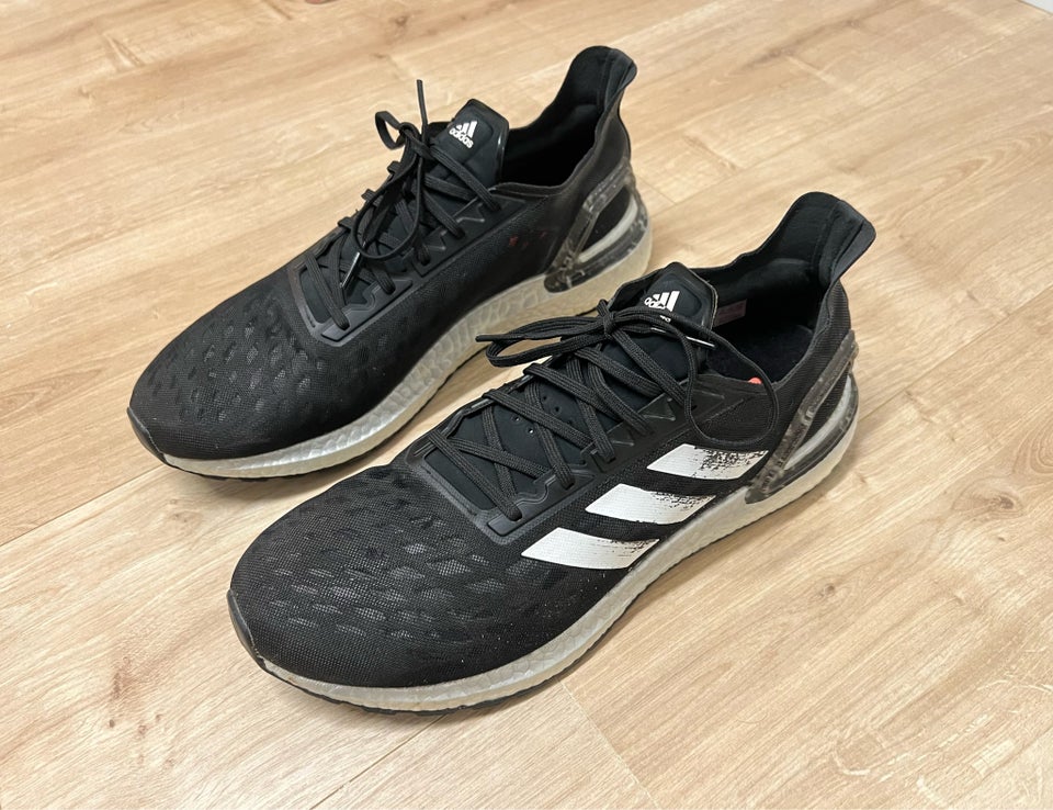 Sportssko, Adidas, str. 46