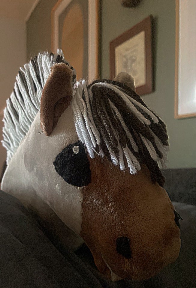 Kæphest, Hobby horse