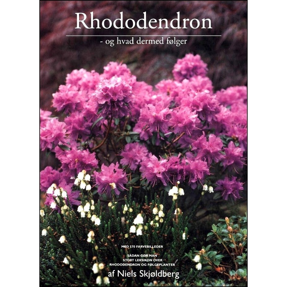 Rhododendron - og hvad der dermed