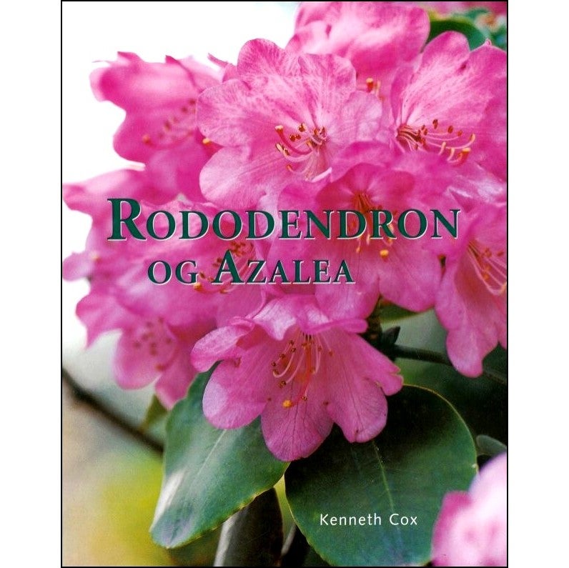 Rhododendron - og hvad der dermed