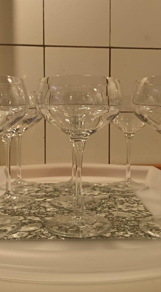 Glas Champagneskåle Bormioli