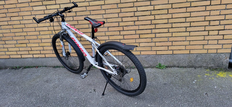 Herrecykel, MTB PINBO Montainbike