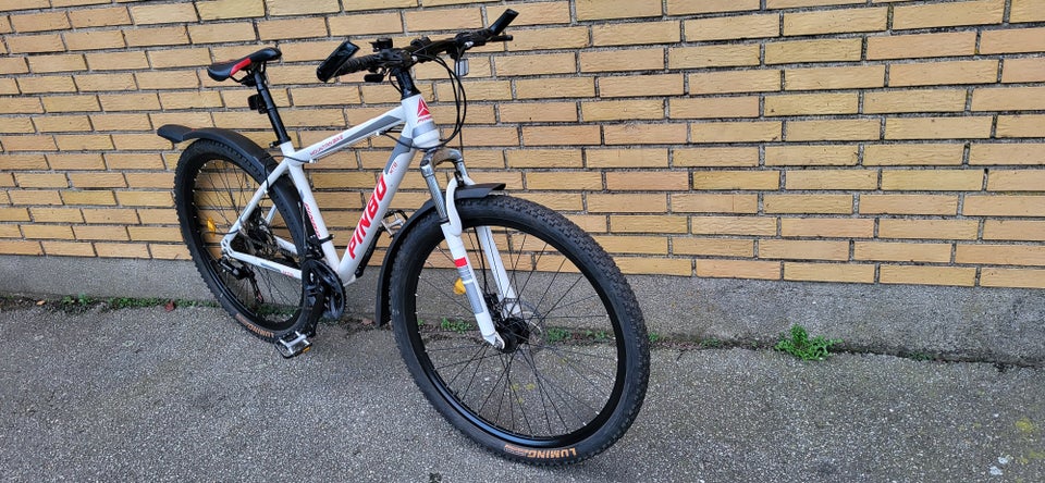 Herrecykel, MTB PINBO Montainbike