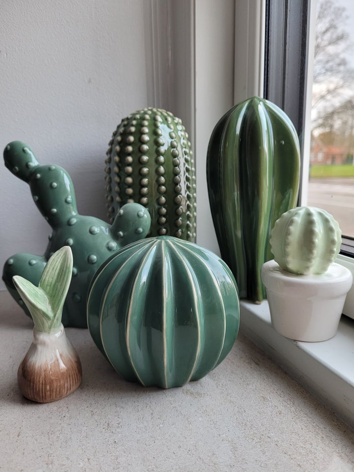 Kaktus samling + Cactus