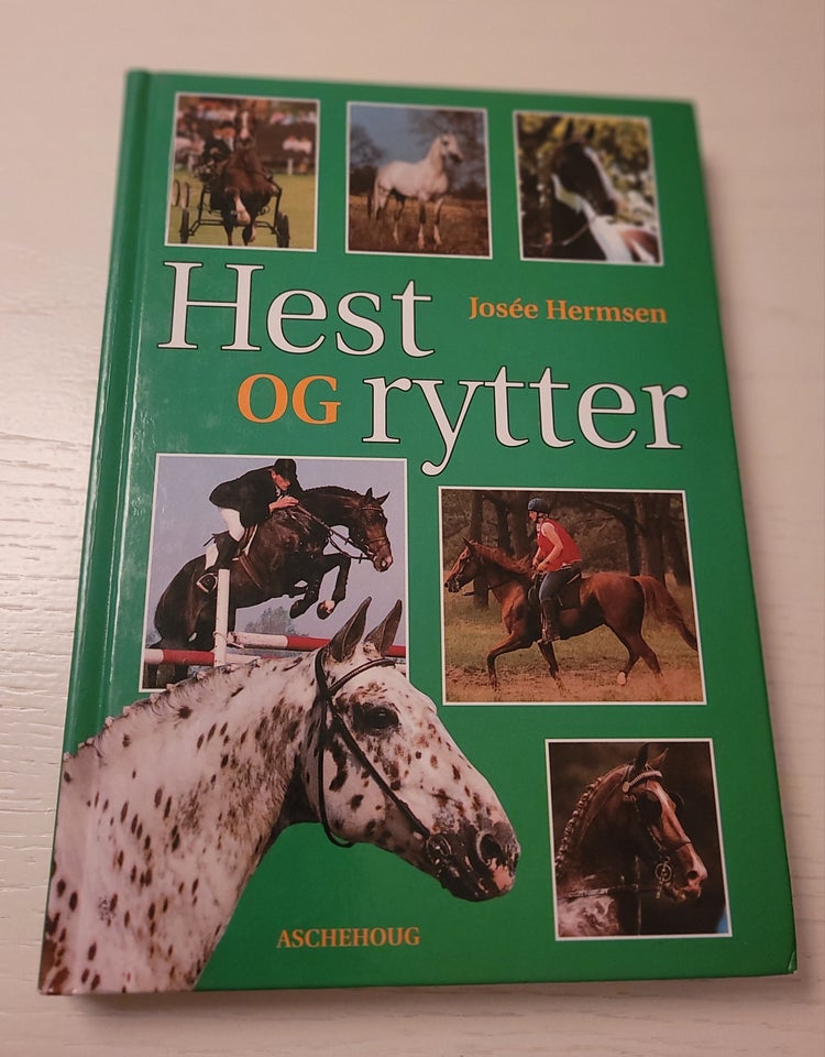 Hest og rytter, Josée Hermsen,