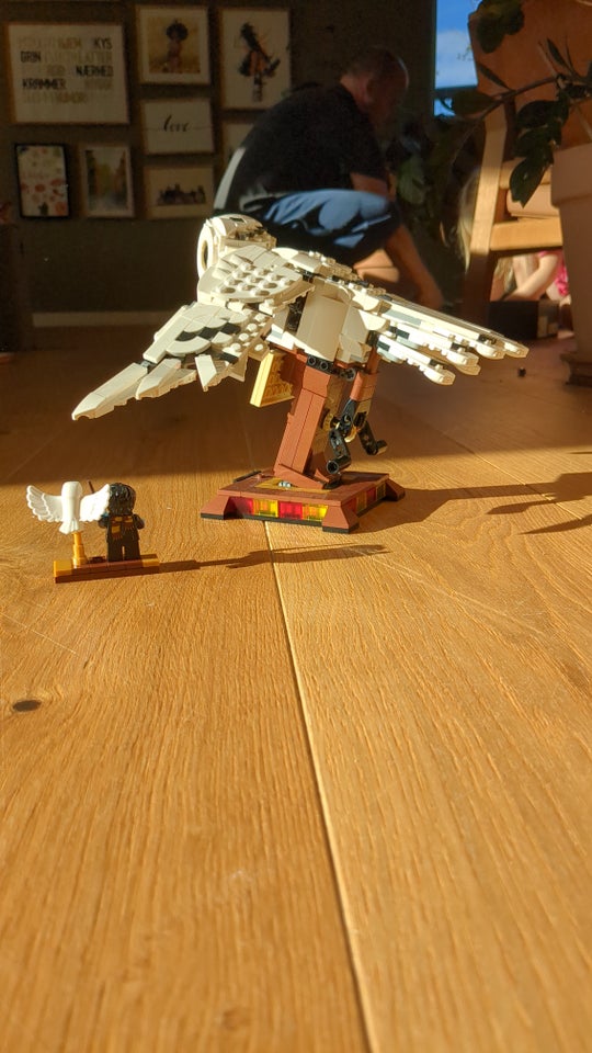 Lego Harry Potter, Hedvig Harry