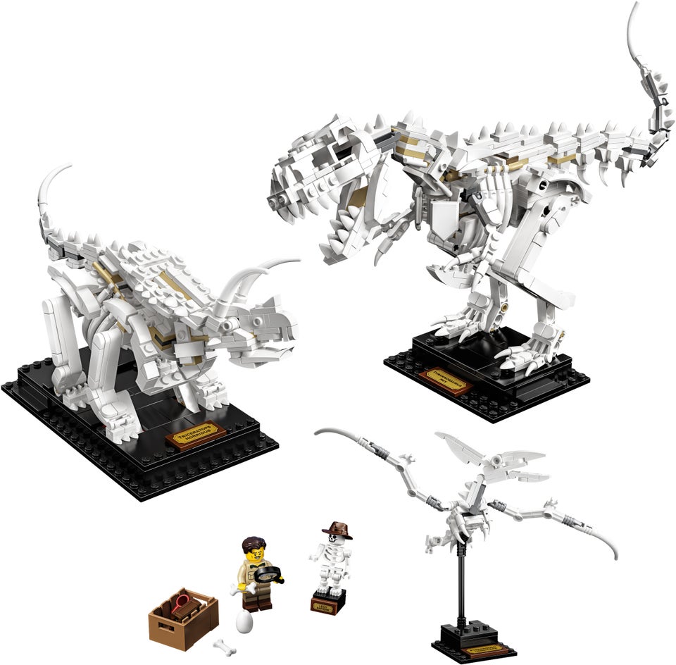 Lego Ideas 21320 Dinosaur Fossils