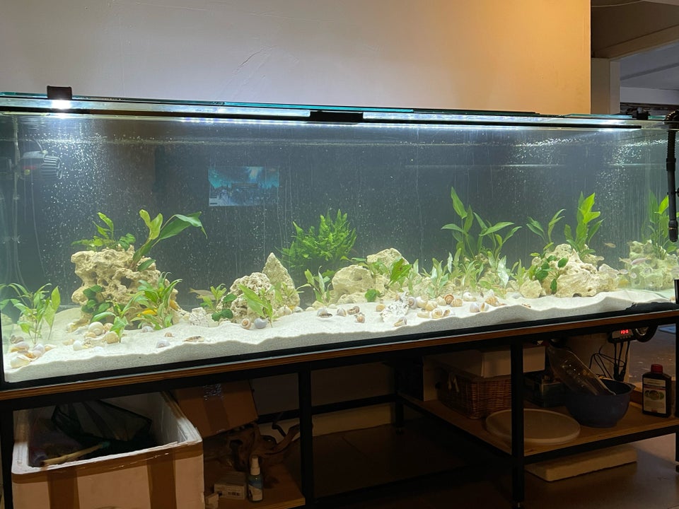 Akvarium 900 liter b: 200 d: 75 h: