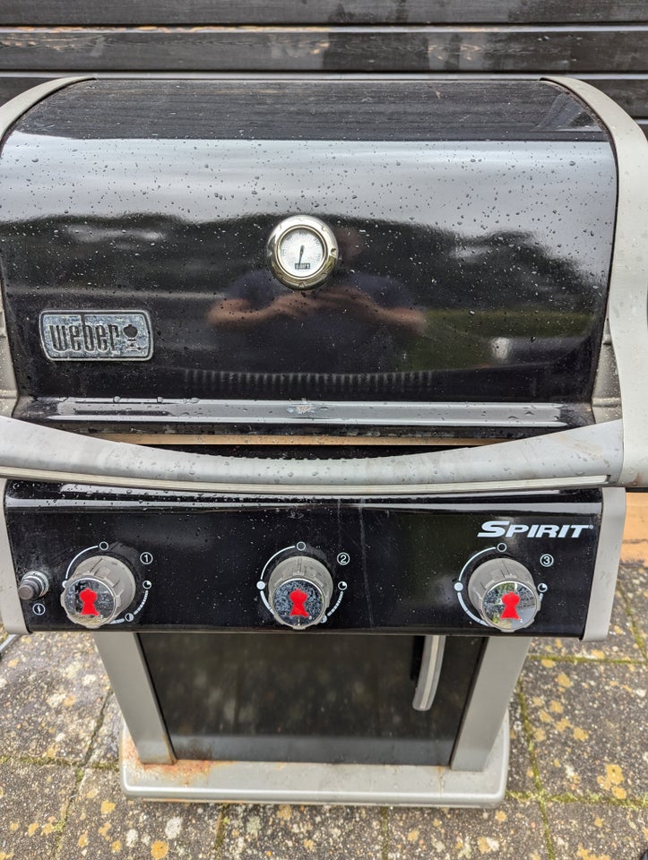 Gasgrill Weber