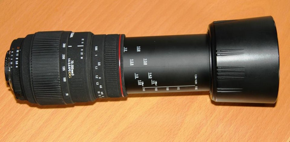 Zoom, Sigma, 70-300mm D 1:4-5,6 APO