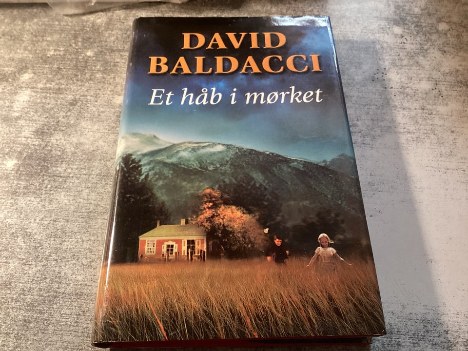 Et håb i mørket , David Baldacci