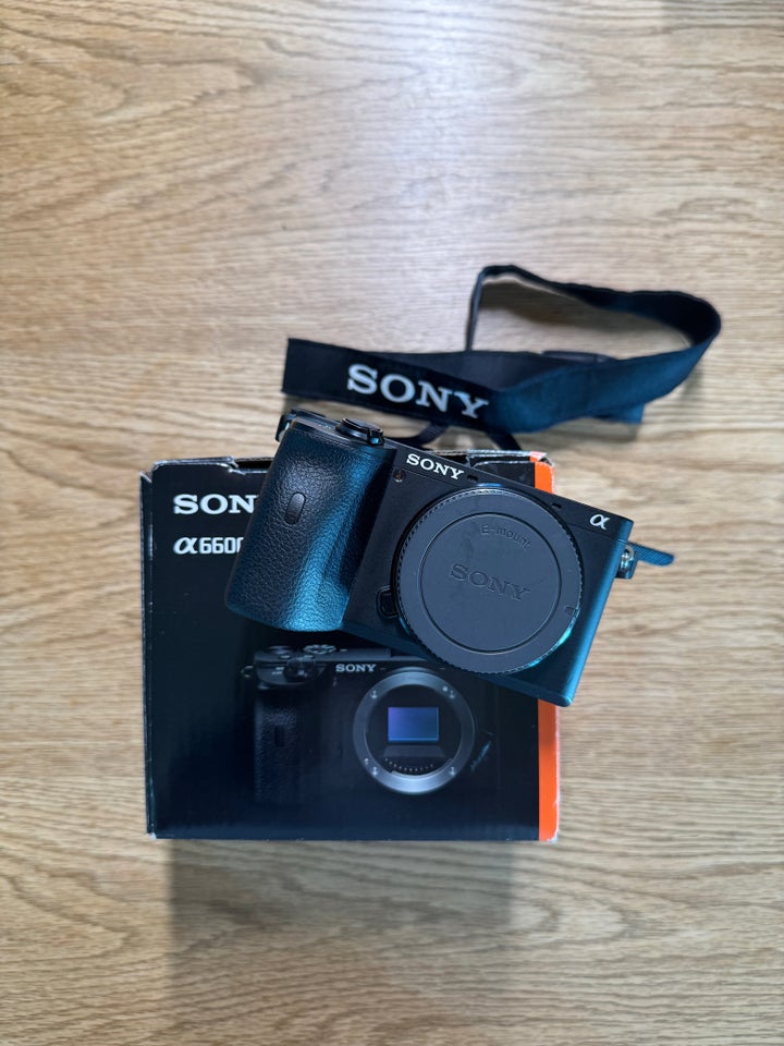 Sony Sony A6600 God