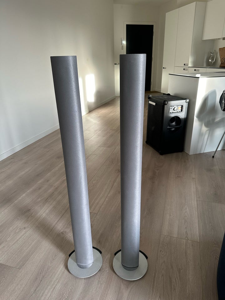 Højttaler Bang  Olufsen Beolab