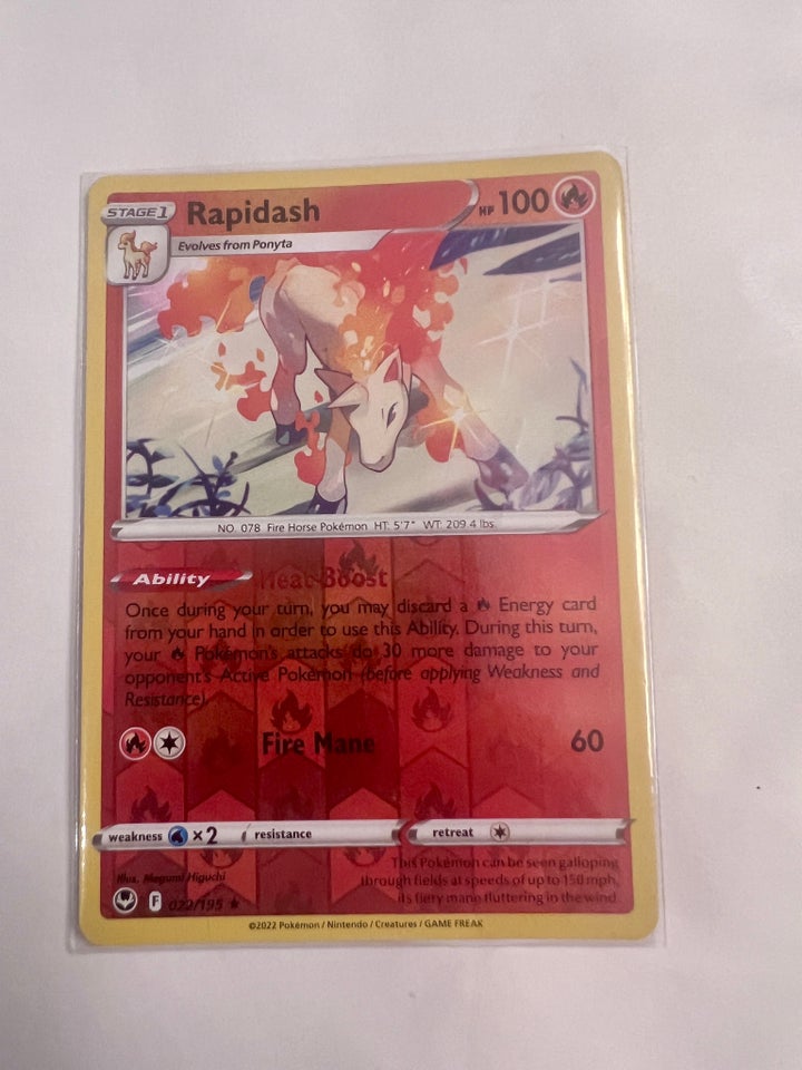 Samlekort, Rapidash reverse