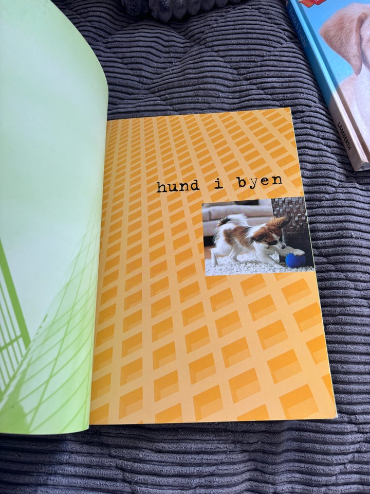 Hund i byen, Sarah whitehead, emne: