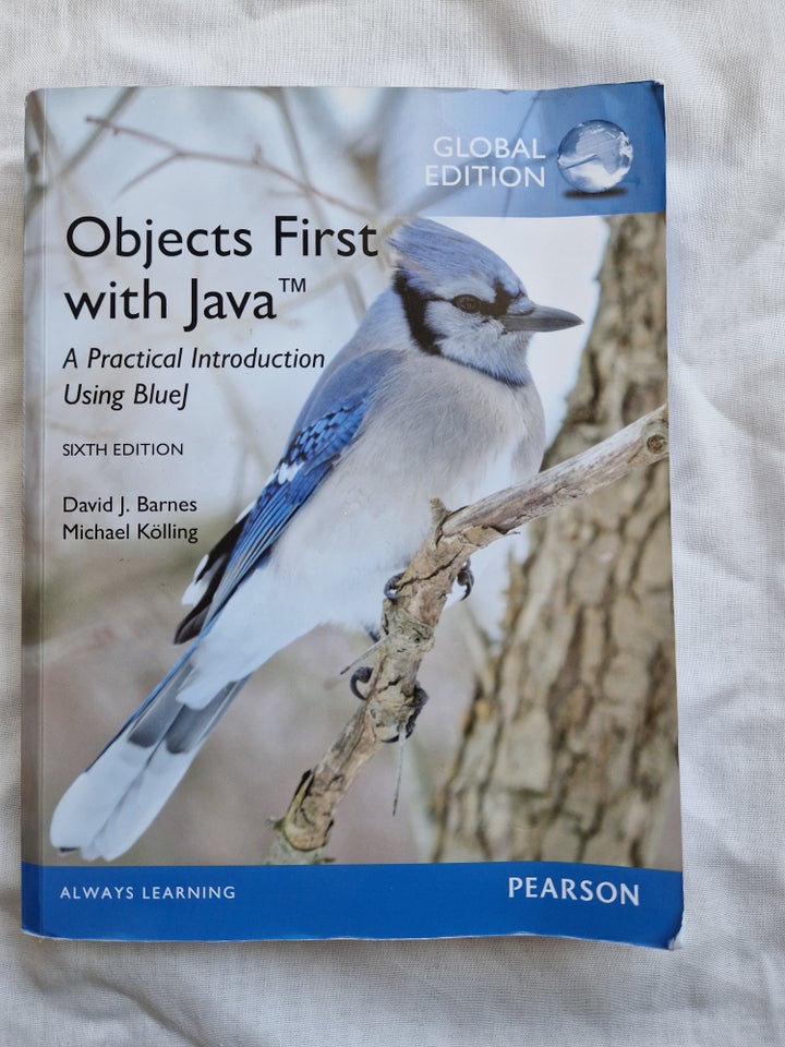 Objects First with Java, David J.