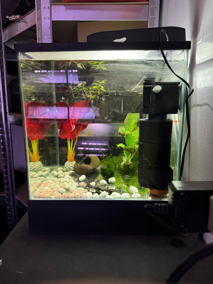 Akvarium, 18 liter, b: 26 d: 26 h: 26