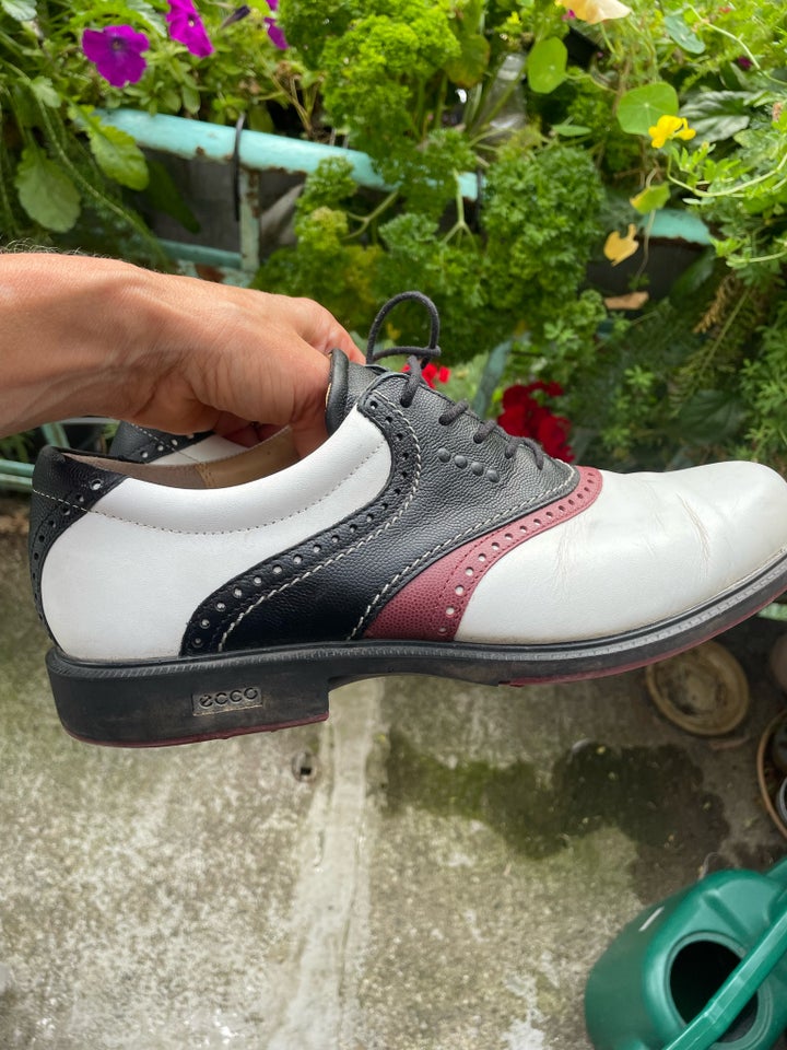 Golfsko Ecco