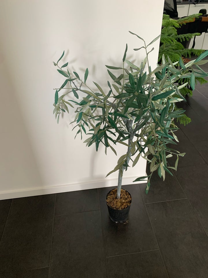 Kunstig eucalyptus