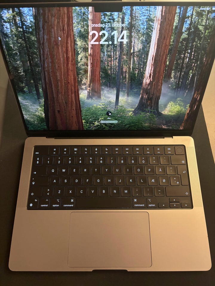 MacBook Pro, 14", M1 Pro GHz