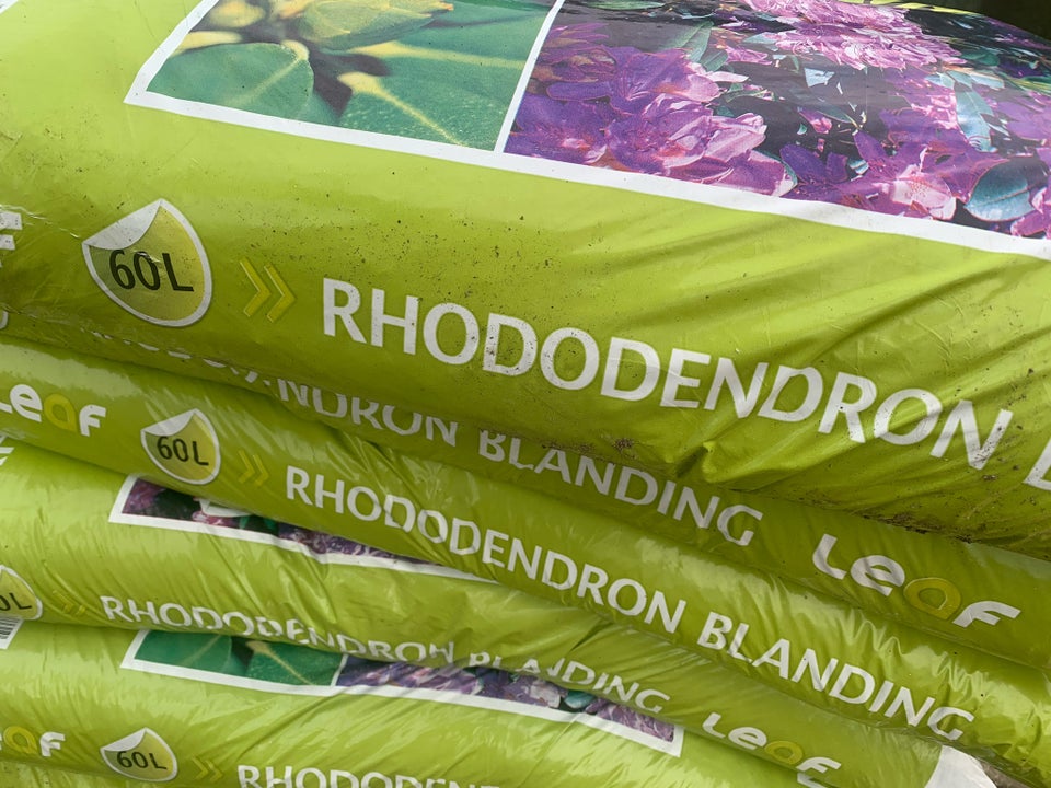 RHODODENDRON jord