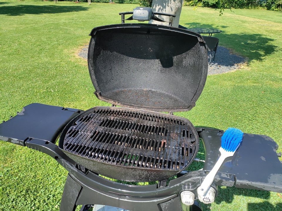 Gasgrill Weber Q3200